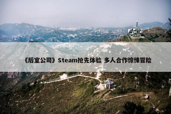 《后室公司》Steam抢先体验 多人合作惊悚冒险