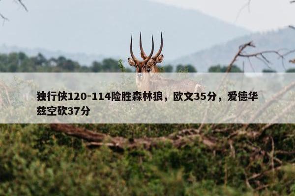 独行侠120-114险胜森林狼，欧文35分，爱德华兹空砍37分