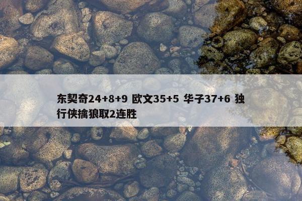 东契奇24+8+9 欧文35+5 华子37+6 独行侠擒狼取2连胜