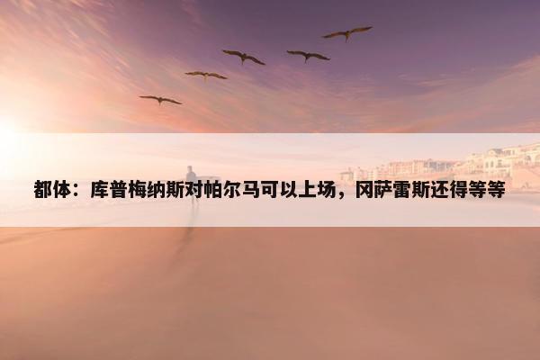 都体：库普梅纳斯对帕尔马可以上场，冈萨雷斯还得等等