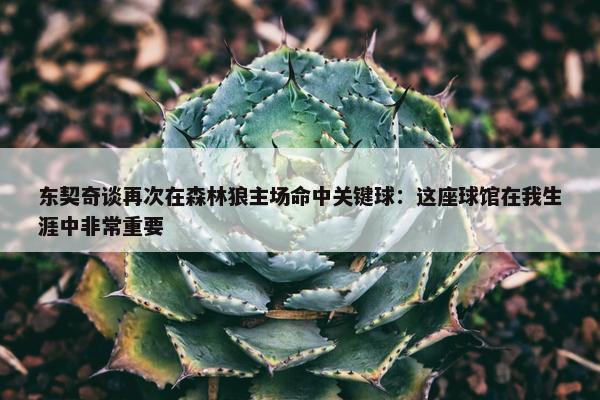 东契奇谈再次在森林狼主场命中关键球：这座球馆在我生涯中非常重要