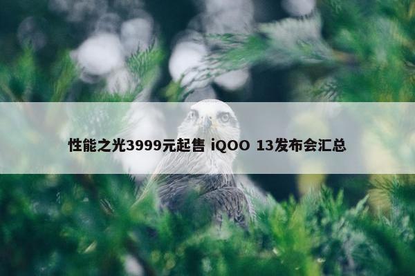 性能之光3999元起售 iQOO 13发布会汇总