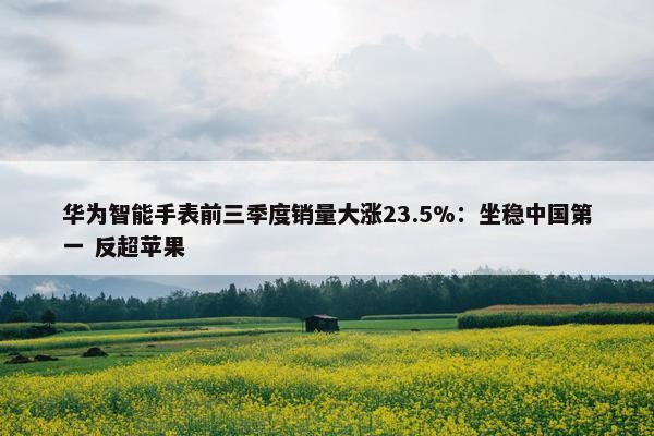 华为智能手表前三季度销量大涨23.5%：坐稳中国第一 反超苹果