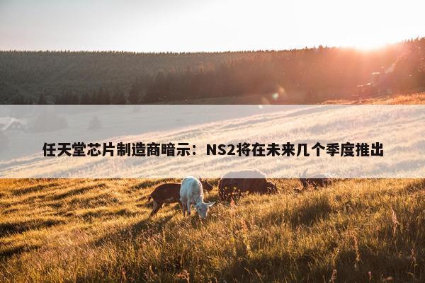 任天堂芯片制造商暗示：NS2将在未来几个季度推出