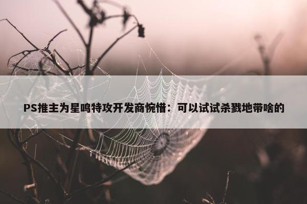 PS推主为星鸣特攻开发商惋惜：可以试试杀戮地带啥的