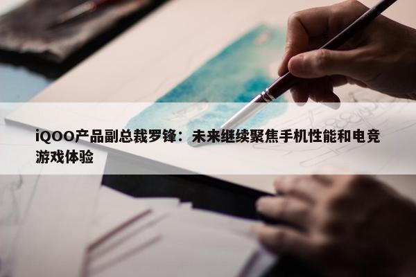 iQOO产品副总裁罗锋：未来继续聚焦手机性能和电竞游戏体验