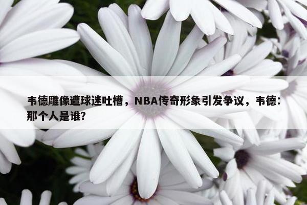 韦德雕像遭球迷吐槽，NBA传奇形象引发争议，韦德：那个人是谁？