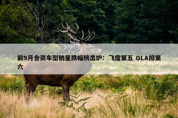 前9月合资车型销量跌幅榜出炉：飞度第五 GLA排第六