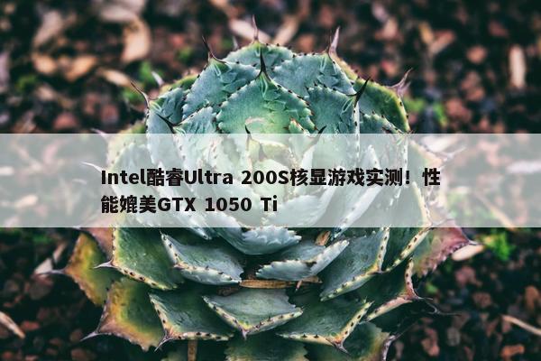 Intel酷睿Ultra 200S核显游戏实测！性能媲美GTX 1050 Ti