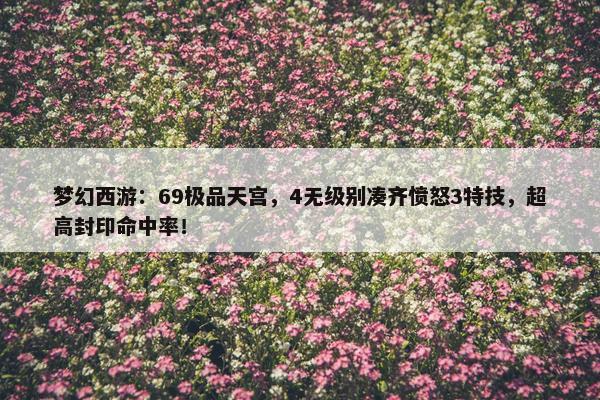 梦幻西游：69极品天宫，4无级别凑齐愤怒3特技，超高封印命中率！