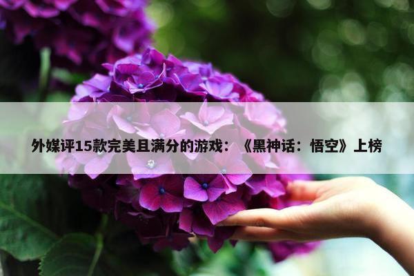 外媒评15款完美且满分的游戏：《黑神话：悟空》上榜