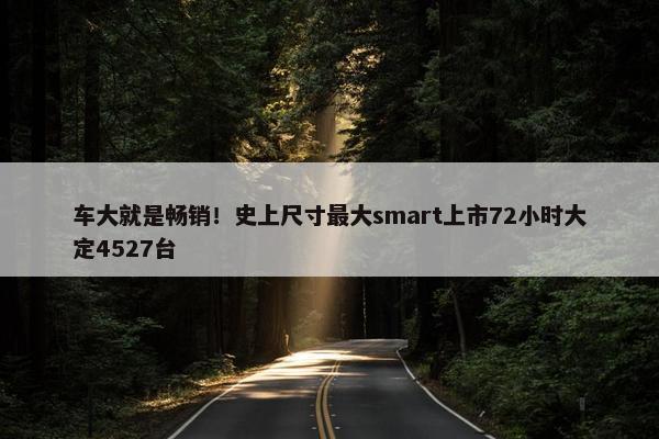 车大就是畅销！史上尺寸最大smart上市72小时大定4527台