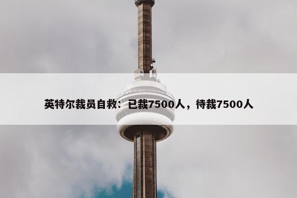 英特尔裁员自救：已裁7500人，待裁7500人