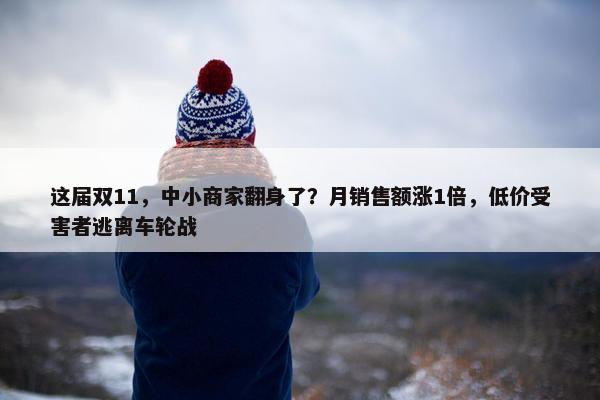 这届双11，中小商家翻身了？月销售额涨1倍，低价受害者逃离车轮战