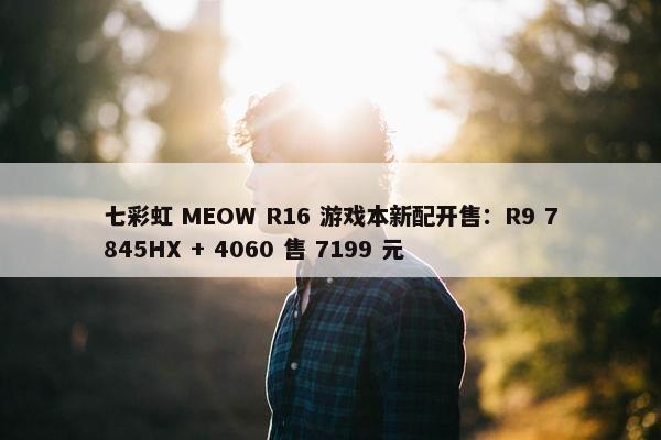 七彩虹 MEOW R16 游戏本新配开售：R9 7845HX + 4060 售 7199 元