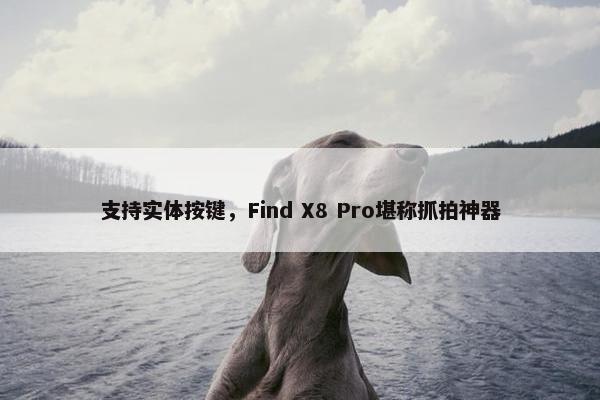 支持实体按键，Find X8 Pro堪称抓拍神器