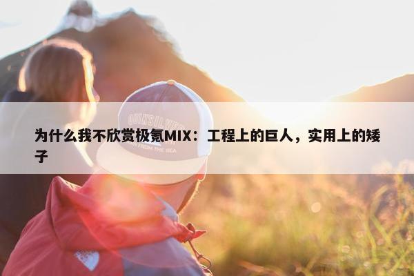 为什么我不欣赏极氪MIX：工程上的巨人，实用上的矮子