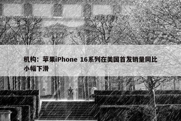 机构：苹果iPhone 16系列在美国首发销量同比小幅下滑