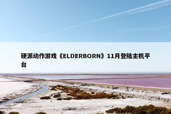 硬派动作游戏《ELDERBORN》11月登陆主机平台