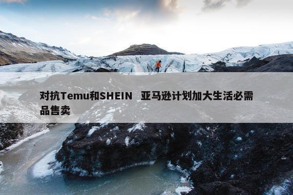 对抗Temu和SHEIN  亚马逊计划加大生活必需品售卖