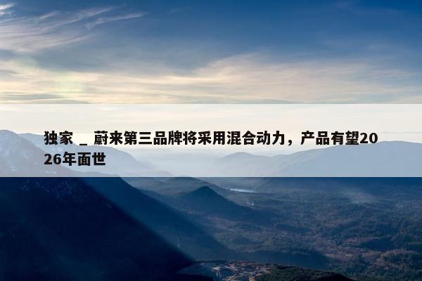 独家 _ 蔚来第三品牌将采用混合动力，产品有望2026年面世