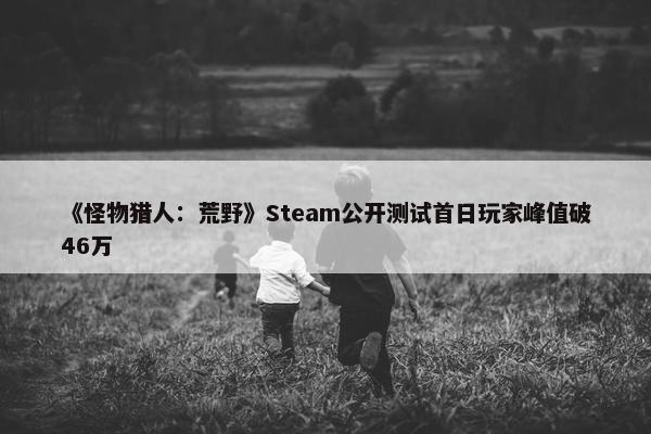 《怪物猎人：荒野》Steam公开测试首日玩家峰值破46万