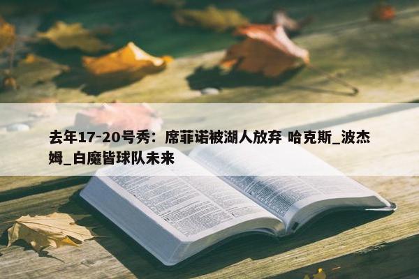 去年17-20号秀：席菲诺被湖人放弃 哈克斯_波杰姆_白魔皆球队未来