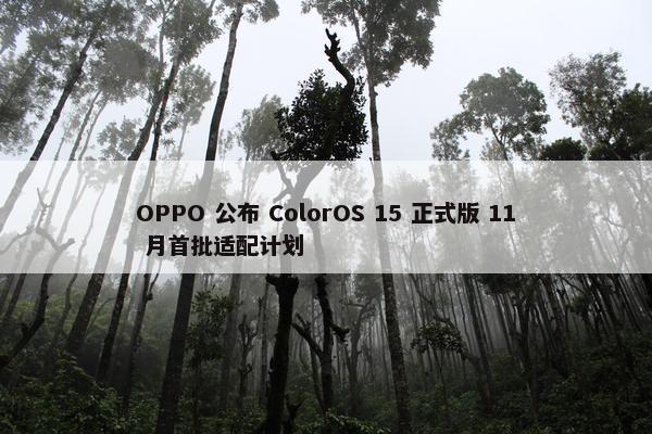 OPPO 公布 ColorOS 15 正式版 11 月首批适配计划