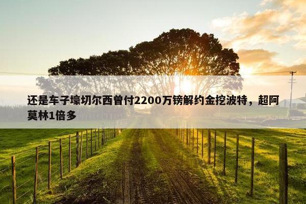 还是车子壕切尔西曾付2200万镑解约金挖波特，超阿莫林1倍多