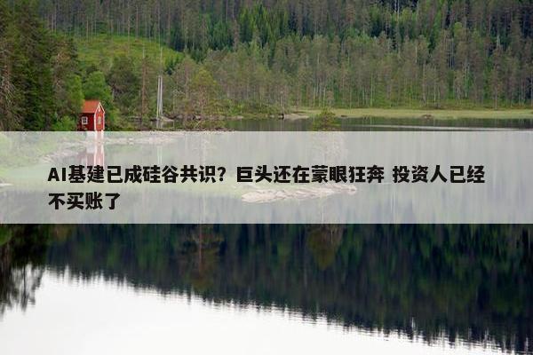 AI基建已成硅谷共识？巨头还在蒙眼狂奔 投资人已经不买账了