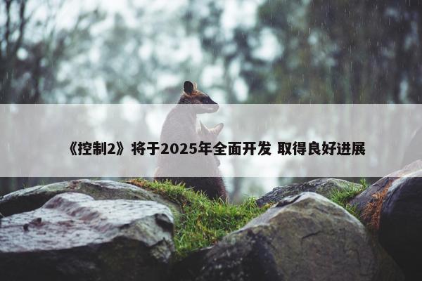 《控制2》将于2025年全面开发 取得良好进展