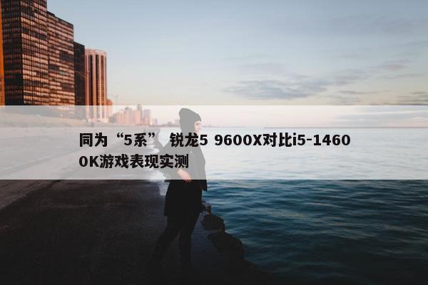 同为“5系” 锐龙5 9600X对比i5-14600K游戏表现实测