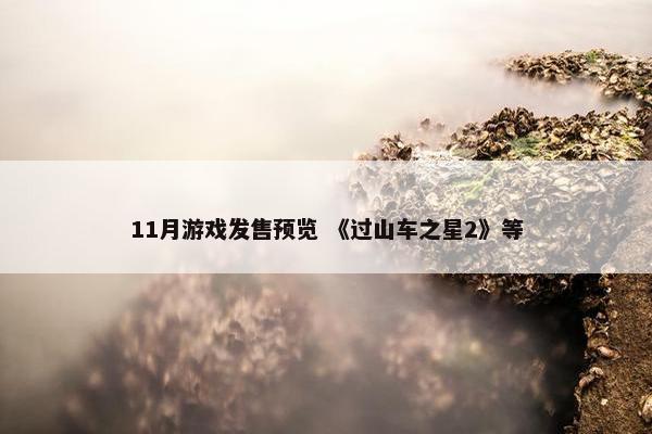 11月游戏发售预览 《过山车之星2》等