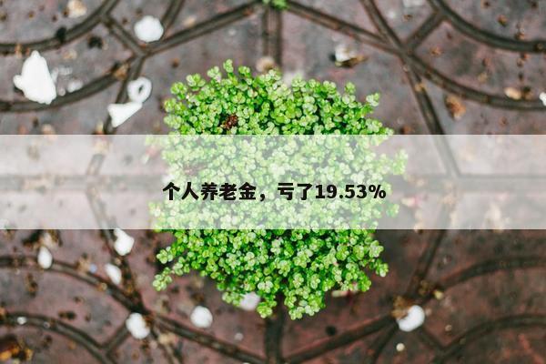 个人养老金，亏了19.53%