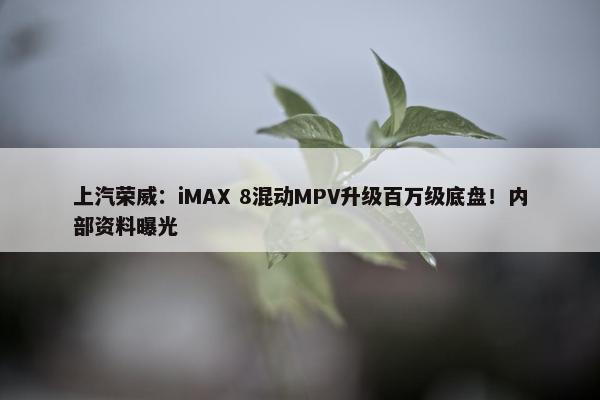 上汽荣威：iMAX 8混动MPV升级百万级底盘！内部资料曝光