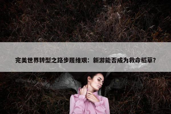 完美世界转型之路步履维艰：新游能否成为救命稻草？