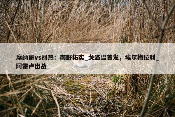 摩纳哥vs昂热：南野拓实_戈洛温首发，埃尔梅拉利_阿霍卢出战