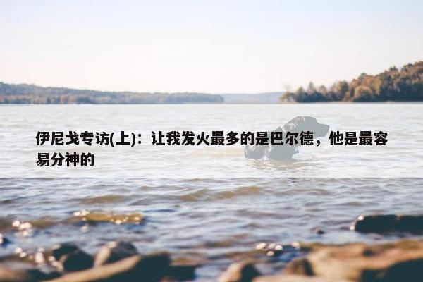 伊尼戈专访(上)：让我发火最多的是巴尔德，他是最容易分神的