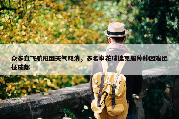 众多直飞航班因天气取消，多名申花球迷克服种种困难远征成都