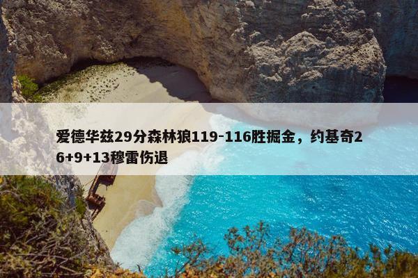 爱德华兹29分森林狼119-116胜掘金，约基奇26+9+13穆雷伤退