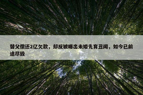 替父偿还2亿欠款，却反被曝出未婚先育丑闻，如今已前途尽毁