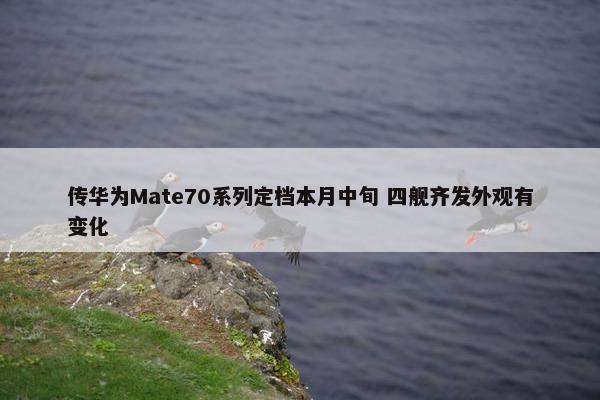 传华为Mate70系列定档本月中旬 四舰齐发外观有变化