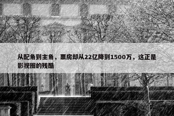 从配角到主角，票房却从22亿降到1500万，这正是影视圈的残酷