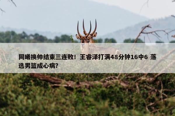 同曦换帅结束三连败！王睿泽打满48分钟16中6 落选男篮成心病？