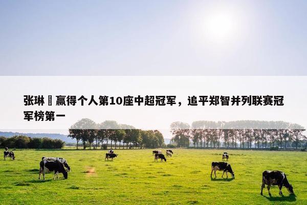 张琳芃赢得个人第10座中超冠军，追平郑智并列联赛冠军榜第一