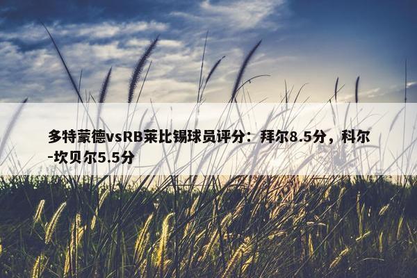 多特蒙德vsRB莱比锡球员评分：拜尔8.5分，科尔-坎贝尔5.5分