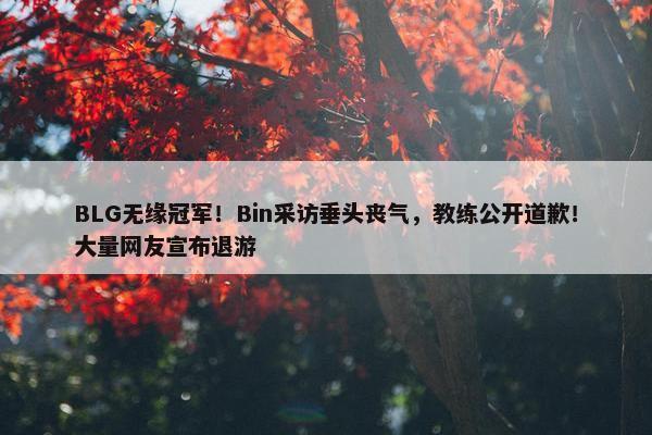 BLG无缘冠军！Bin采访垂头丧气，教练公开道歉！大量网友宣布退游