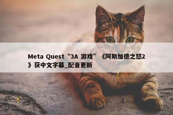 Meta Quest“3A 游戏”《阿斯加德之怒2》获中文字幕_配音更新