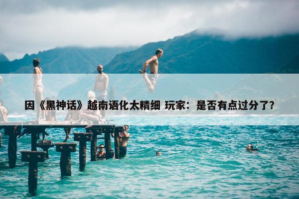 因《黑神话》越南语化太精细 玩家：是否有点过分了？