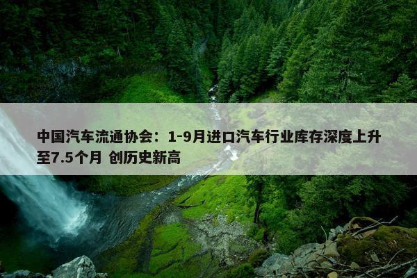 中国汽车流通协会：1-9月进口汽车行业库存深度上升至7.5个月 创历史新高